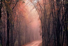 凯尔：6-0大胜让所有人都松了口气，但我们离自己目标还相差太远.