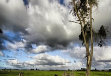 去年英超2分之差三雄争霸→今年利物浦已领先阿森纳11分&曼城20分.