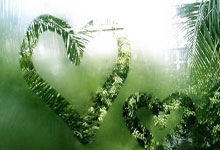 [CBA]末节冲击 宁波男篮主场胜福建男篮.