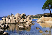 [流言板]恩佐单场英超7次关键传球+3次创良机，至少切尔西近10季首人43亮49回复.